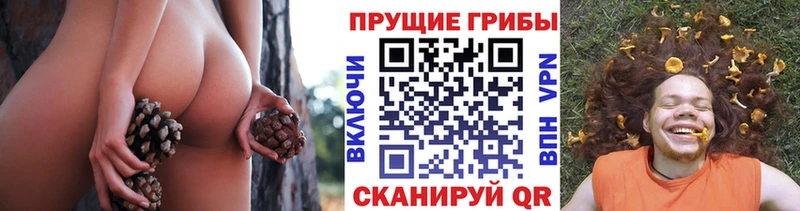 Псилоцибиновые грибы мухоморы  Сарапул 