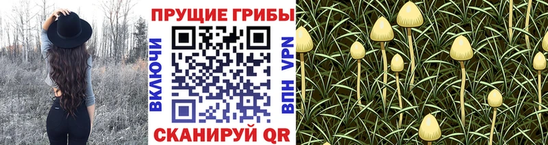 Галлюциногенные грибы мухоморы Сарапул